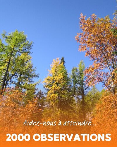 Phénoclim Automne 2025 (4)